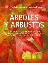 arboles_arbustos.jpg