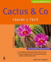 cactus.jpg