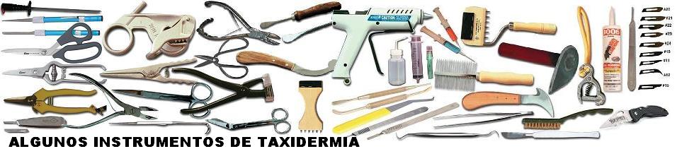 instrumentos_taxidermia.jpg
